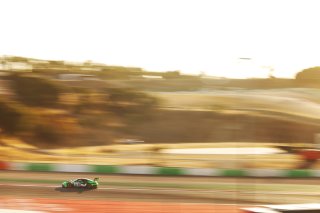 #54 - Dinamic GT - Tanart Sathienthirakul - Francesco Simonazzi - Angus Whiteside - Porsche 911 GT3 R (992) EVO