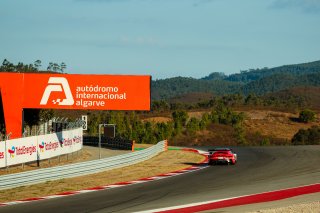 #8 - Car Collection Motorsport - Reinhold Krahn - Pietro Armanni - Joel Sturm - Porsche 911 GT3 R (992) EVO