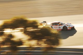 #93 - Ziggo Sport Tempesta Racing - Peter Dempsey - Christopher Froggatt - Eddie Cheever - Porsche 911 GT3 R (992) EVO