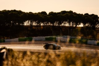 #99 - Tresor Attempto Racing - Dylan Pereira - Andrea Frassineti - Alex Aka - Audi R8 LMS GT3 EVO II