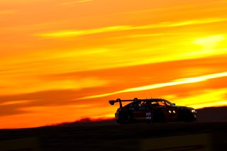 #42 - Oman Racing by Century Motorsport - Javier Sagrera - Ahmad Al Harthy - Calan Williams - BMW M4 GT3 EVO