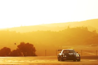 #77 - KPX Motorsport - Jop Rappange - Nigel Schoonderwoerd - Yelmer Buurman - BMW M4 GT3 EVO