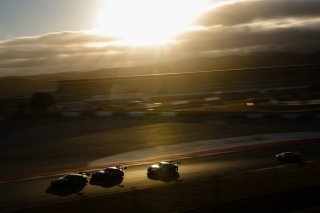 #64 - HRT Ford Racing - Arjun Maini - Fabio Scherer - Thomas Drouet - Ford Mustang GT3 EVO