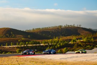 #8 - Car Collection Motorsport - Reinhold Krahn - Pietro Armanni - Joel Sturm - Porsche 911 GT3 R (992) EVO