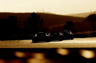#8 - Car Collection Motorsport - Reinhold Krahn - Pietro Armanni - Joel Sturm - Porsche 911 GT3 R (992) EVO