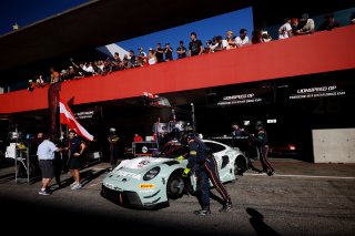 #80 - Lionspeed GP - Ricardo Feller - Thomas Preining - Bastian Buus - Porsche 911 GT3 R (992) EVO