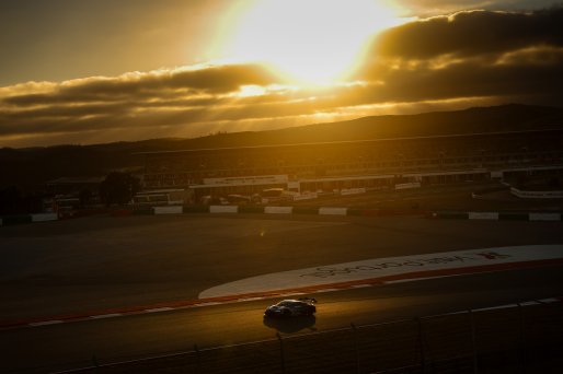 #88 - Tresor Attempto Racing - Daniele Di Amato - Carrie Schreiner - Aleksei Nesov - Audi R8 LMS GT3 EVO II | SRO \ JEP