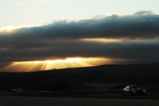#991 - Paradine Competition - James Kellett - Darren Leung - Robert De Haan - BMW M4 GT3 EVO