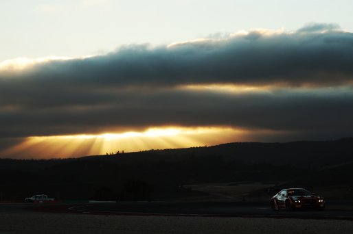 #991 - Paradine Competition - James Kellett - Darren Leung - Robert De Haan - BMW M4 GT3 EVO | SRO / JEP