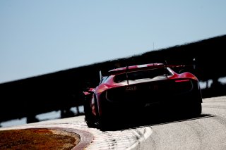 #71 - Selected Car Racing - Frederik Schandorff - Malte Ebdrup - Simon Birch - Ferrari 296 GT3 EVO
