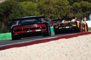 #99 - Tresor Attempto Racing - Dylan Pereira - Andrea Frassineti - Alex Aka - Audi R8 LMS GT3 EVO II